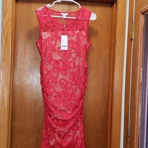 Ripe maternity dress